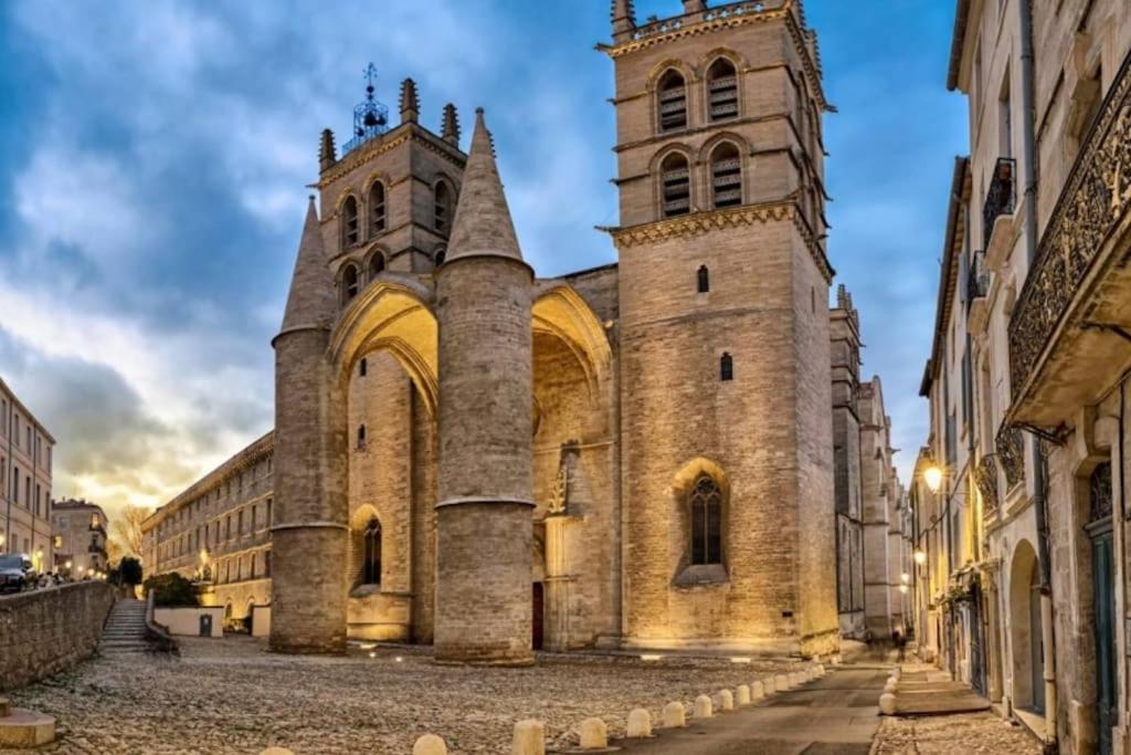 Confort Climatise Et Suite Privee En Sousplex Montpellier Ngoại thất bức ảnh