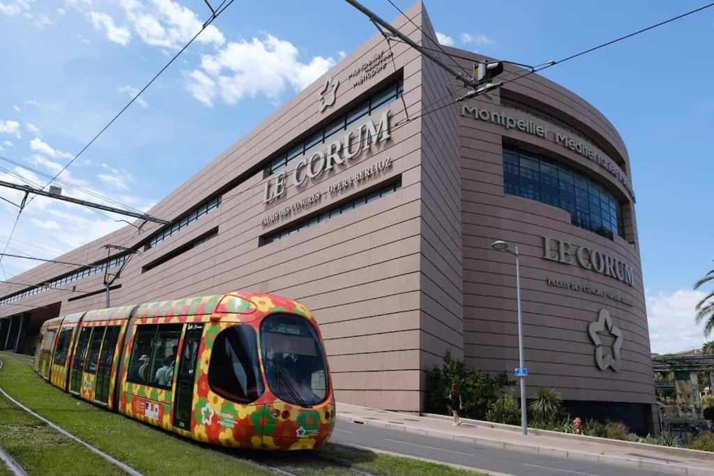 Confort Climatise Et Suite Privee En Sousplex Montpellier Ngoại thất bức ảnh