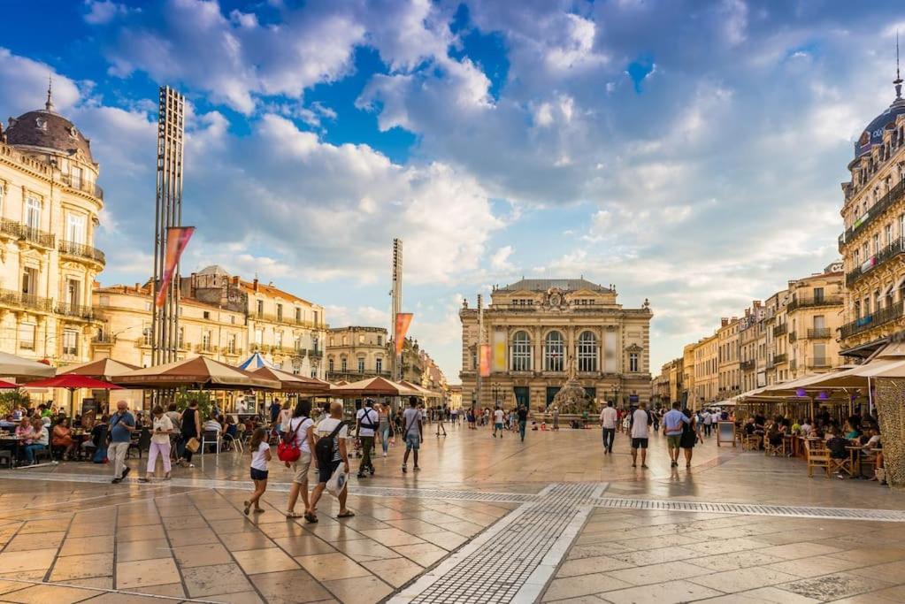 Confort Climatise Et Suite Privee En Sousplex Montpellier Ngoại thất bức ảnh